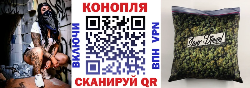 ГЕРОИН Сольвычегодск
