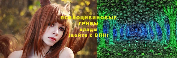ECSTASY Алексин