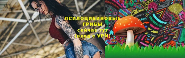 ECSTASY Алексин