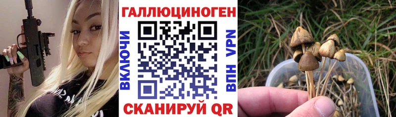 Псилоцибиновые грибы GOLDEN TEACHER  Сольвычегодск 